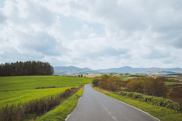 Fototapeta na wymiar The road to beautiful Biei country side, Hokkaido, Japan