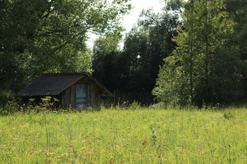 Obraz premium House by the forest on the shore of the pond.