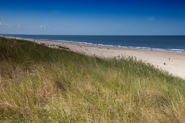 Dune landscape on the beach of Egmond,North sea , Holland, Netherlands