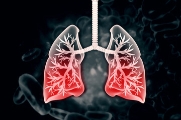 Human lungs on scientific background