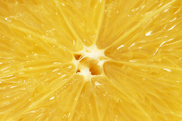 Orange lemon citrus slice macro