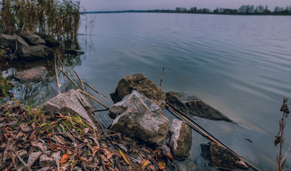 Fading nature in autumn plants