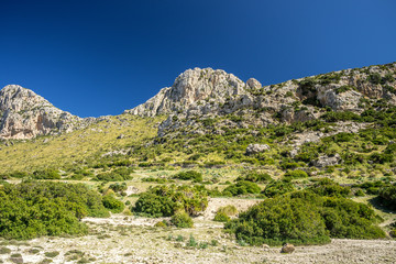 Fototapeta na wymiar Wandern Mallorca Nationalpark s Albufera