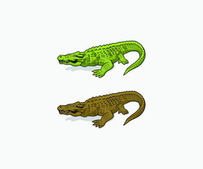 vector of alligator crocodile cartoon character eps format