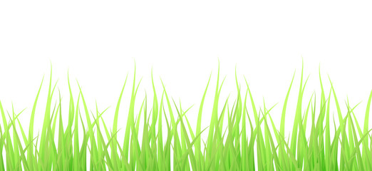 Green Grass Borders, Vector Illustration