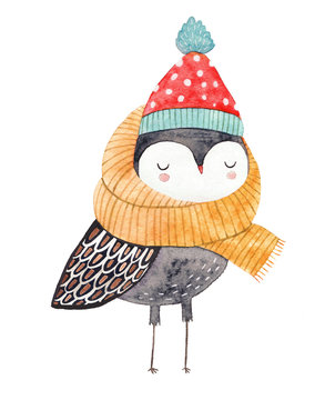 owl in a scarf and hat - watercolor drawing