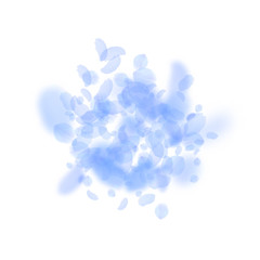 Dark blue flower petals falling down. Uncommon rom