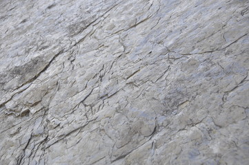 texture of beach rock
