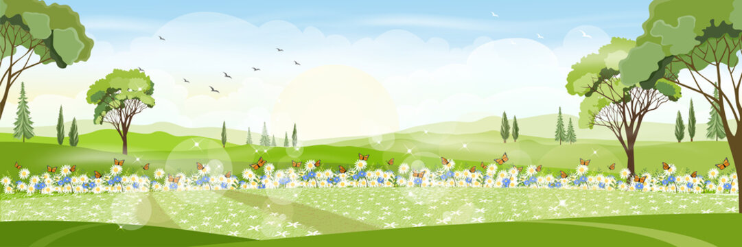 Panorama view of a beautiful summer city park,Vector cartoon Summer landscape with butterfly flying over daisy field, Nature scene with town and hill, fresh spring  scenery