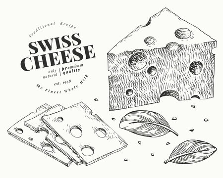 Swiss Cheese Illustration. Hand Drawn Vector Dairy Illustration. Engraved Style Emmental Triangle Slice Cut. Vintage Food Illustration.