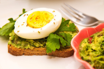 Guacamole toast and hard boiled egg with parsley, healthy diet concept