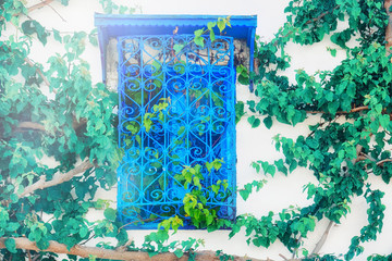 Blue window with decorative bars and tree branches, Sidi Bou Said, Tunisia, Africa