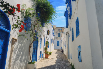 Fototapeta na wymiar A street in the Arab city of Sidi Bou Said. House with blue windows and doors with Arabic ornaments, Sidi Bou Said, Tunisia, Africa