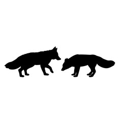 Silhouette of two foxes. The fox family.