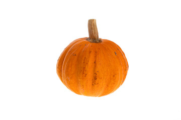 Decorative Pumpkins