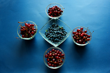 blackberries in bowl on black background