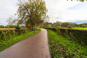 road in the countryside