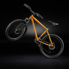 Fototapeta na wymiar 3D Rendering Mountain Bike