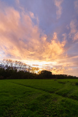 sunset over field