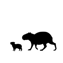 Silhouette of capybara and young little capybara