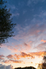 Fototapeta na wymiar sunset sky with tree leaves