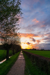 countryside road in the sunset