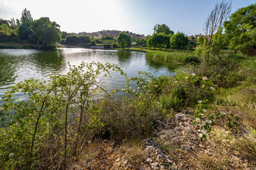 Fototapeta na wymiar Embalse de los Rábanos en el rio Duero. Soria. España. Europa.