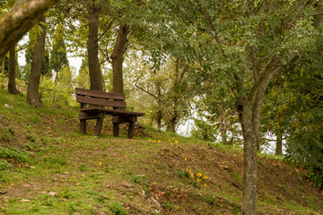 Naklejka premium bench in the park