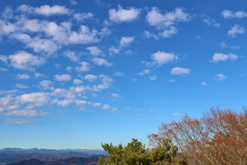 空　冬　雲　風景　杤木