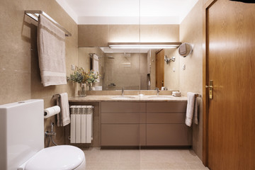 Bathroom and toilet simple interior design, brown colours