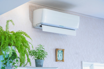 エアコンと観葉植物