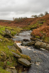 Moorland stream in Autumn in Northumberland, UK