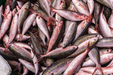 El Nido, Palawan Island, September 2018, fish catch