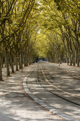 Public garden along Place des Quinconces, Bordeaux France, with a canopy of green trees.