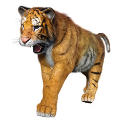 Plakat 3D Rendering Big Cat Tiger on White