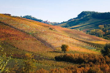 Langhe vineyards hills landscape in autumn with orange and yellow colors. Viticulture of Dolcetto, Nebbiolo and Barbera red wine. Tourism in Europe, travel destination. Piedmont, Italy landmark.