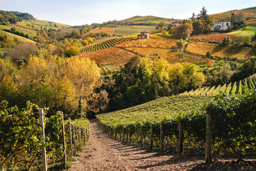 Fototapeta na wymiar Langhe vineyards hills landscape in autumn with orange and yellow colors. Viticulture of Dolcetto, Nebbiolo and Barbera red wine. Tourism in Europe, travel destination. Piedmont, Italy landmark.