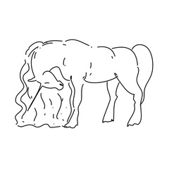 Magic unicorn linear vector illustration. Thin flat line art design to make unicorn party poster, invitation, greeting card