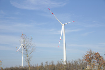 wind turbines in a field and forest belt against a background of yellow leaves and blue sky. Eco power electricity. Wind Turbine Power Generation. Ecology concept. Power electricity concept.