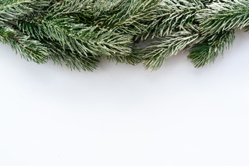 close up top view of white mockup horizontal background texture with frozen pine branches tree leaves and copy space for greeting card and ads banner in merry christmas celebration design concept