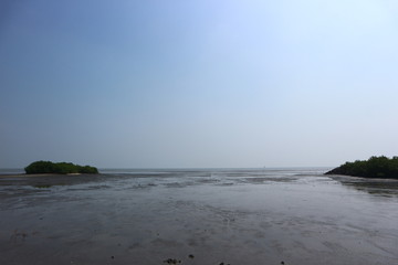 The seaside that sees the muddy ground at low tide.