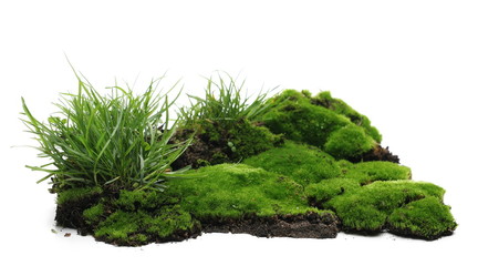 Green moss on soil, dirt pile with grass isolated on white background