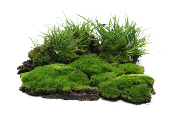 Green moss on soil, dirt pile with grass isolated on white background