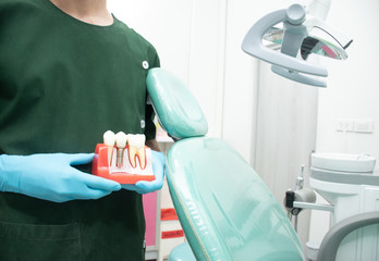 Male dentist carrying a sample of dental implants.
