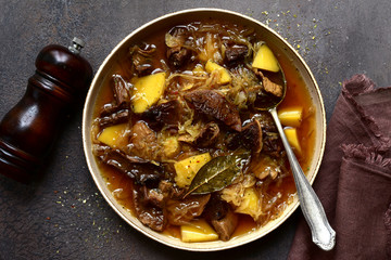 Traditional russian sour cabbage soup ( shchi ) with dried mushroom. Top view with copy space.