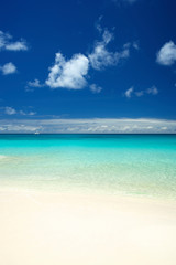 Fototapeta na wymiar Vibrant blue waters and blinding white sand are the elements for a picture-perfect tropical beach
