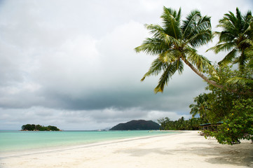 Scenic view of storm clouds brewing on the horizon behind palm trees on a sunny tropical white sand beach