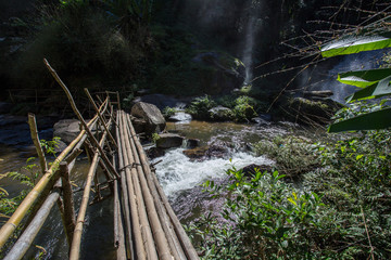 Holzbrücke über einen Bach im Regenwald
