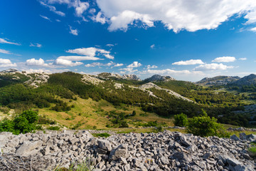 Tulove Grede, conglomerate of white limestone cliffs on south Velebit