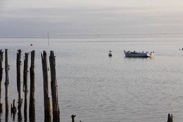 Bassin d'Arcachon